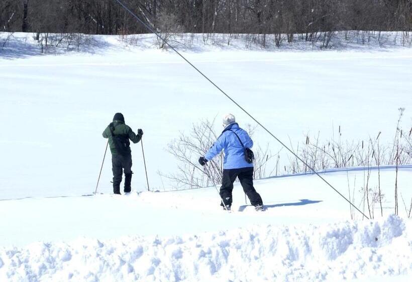 צימר Liftlock Guest House
