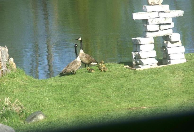 צימר Liftlock Guest House