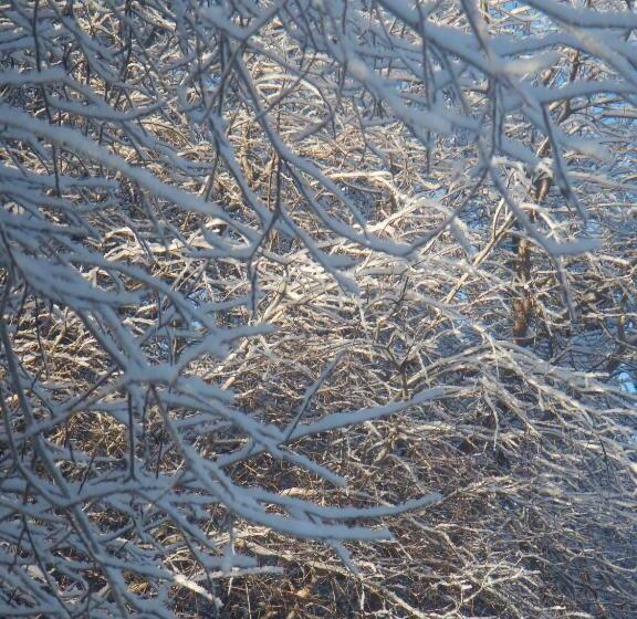 Hidden Valley Bed And Breakfast