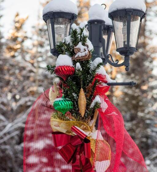 Hidden Valley Bed And Breakfast