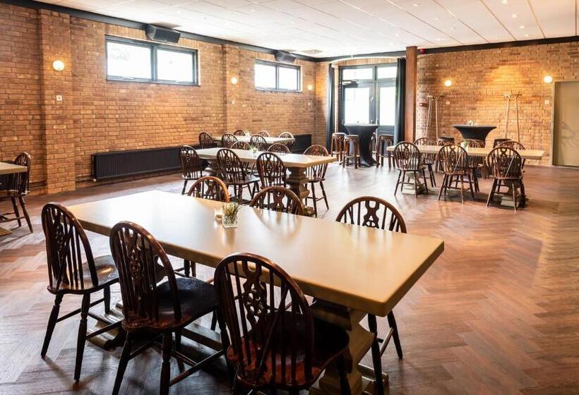 בית מלון כפרי De Drie Linden