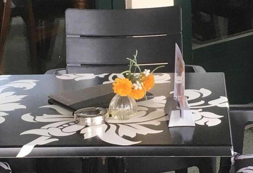 בית מלון כפרי De Drie Linden