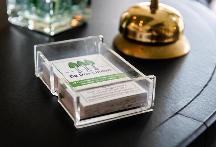 בית מלון כפרי De Drie Linden