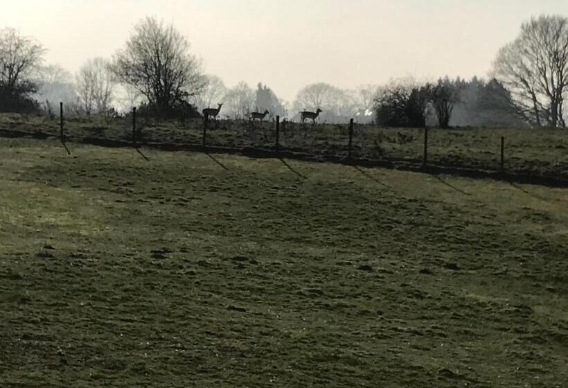 호텔 Gasterij Berg En Dal