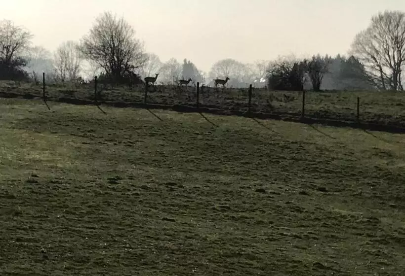 Hotelli Gasterij Berg En Dal