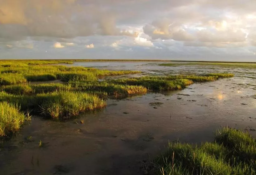Hotelli Waddengenot