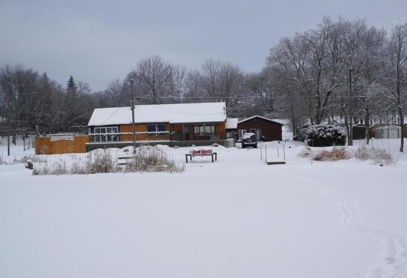 צימר Liftlock Guest House