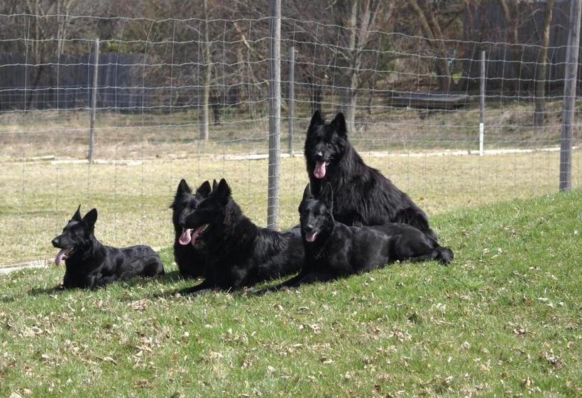 צימר Liftlock Guest House