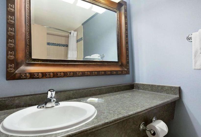 渡假胜地  Quality Inn & Suites