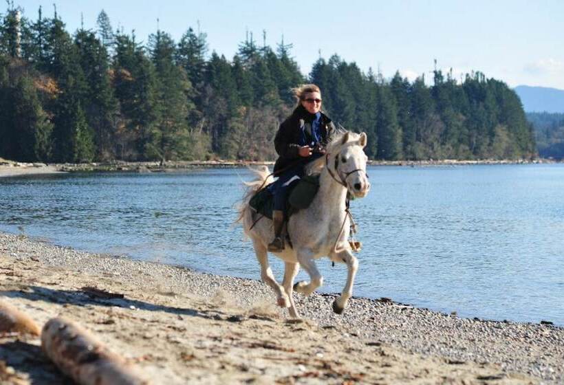 Westview Centre Motel Ltd
