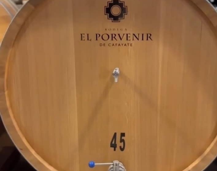 Hotel El Porvenir Wine Lodge
