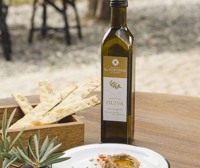 Hotel El Porvenir Wine Lodge