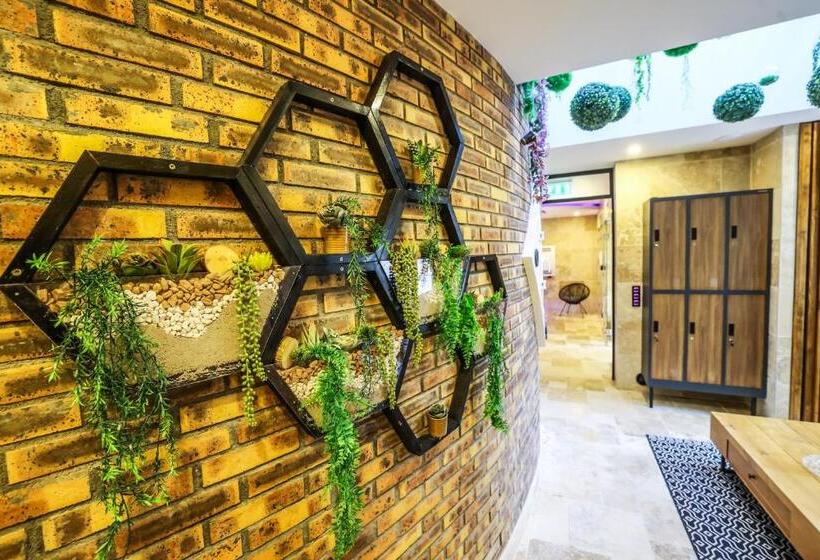 پانسیون O Spa 25   Bien Etre Et Détente