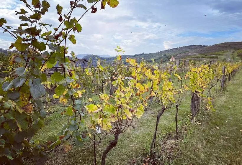 Majatalo Stará Vinice Velké žernoseky 93