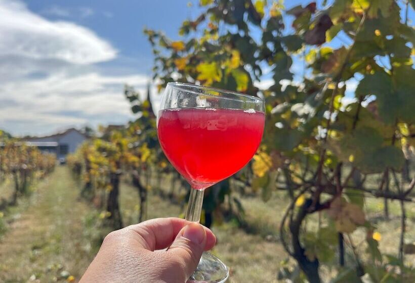 Majatalo Stará Vinice Velké žernoseky 93