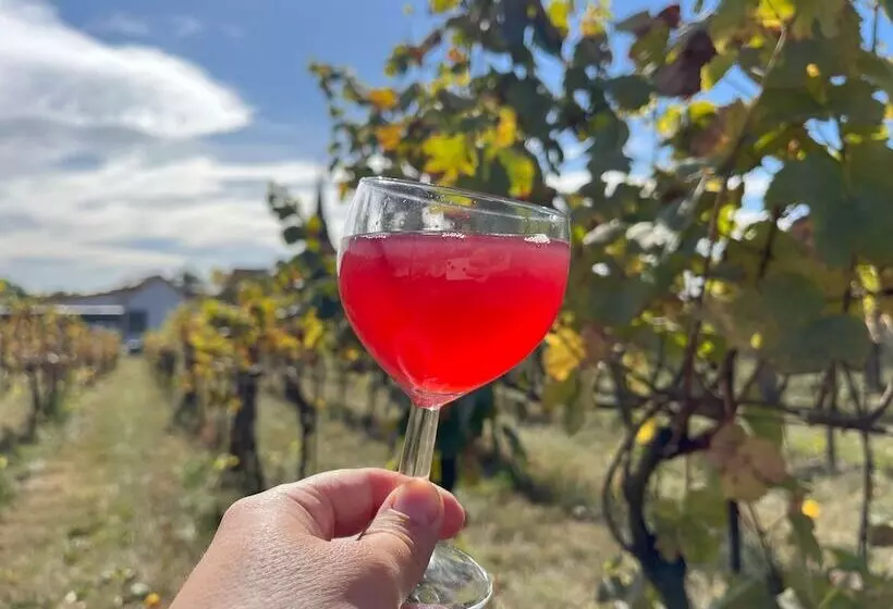 Majatalo Stará Vinice Velké žernoseky 93