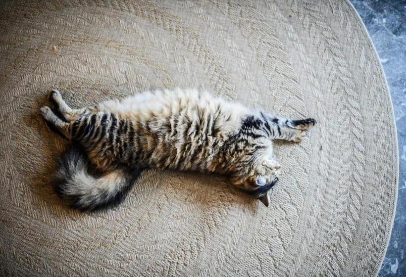 住宿加早餐  Luxury On The Beach