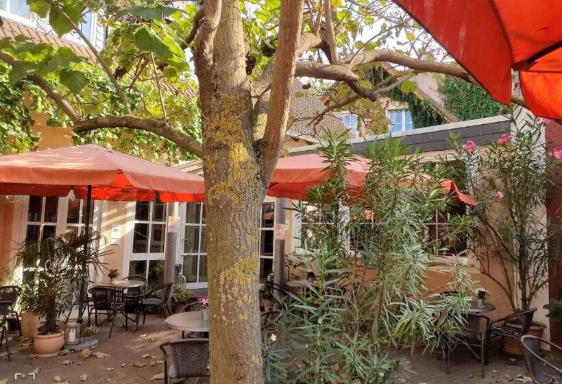 צימר Weingut Weinstube Weinhotel Wolf