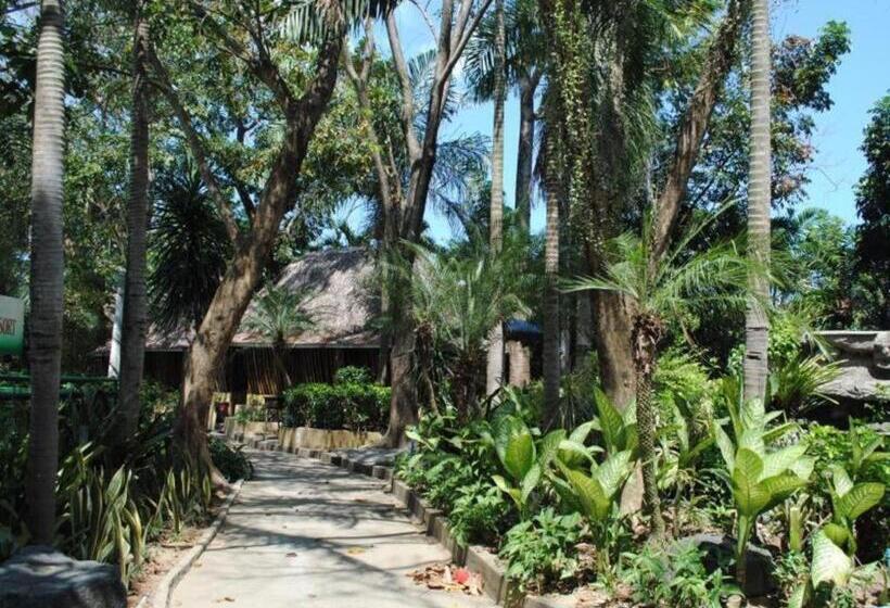 Отель Dj Paradise