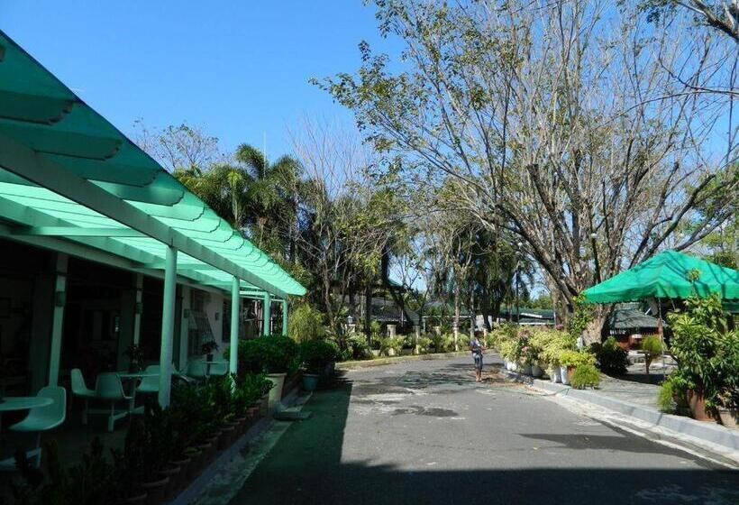 Отель Dj Paradise