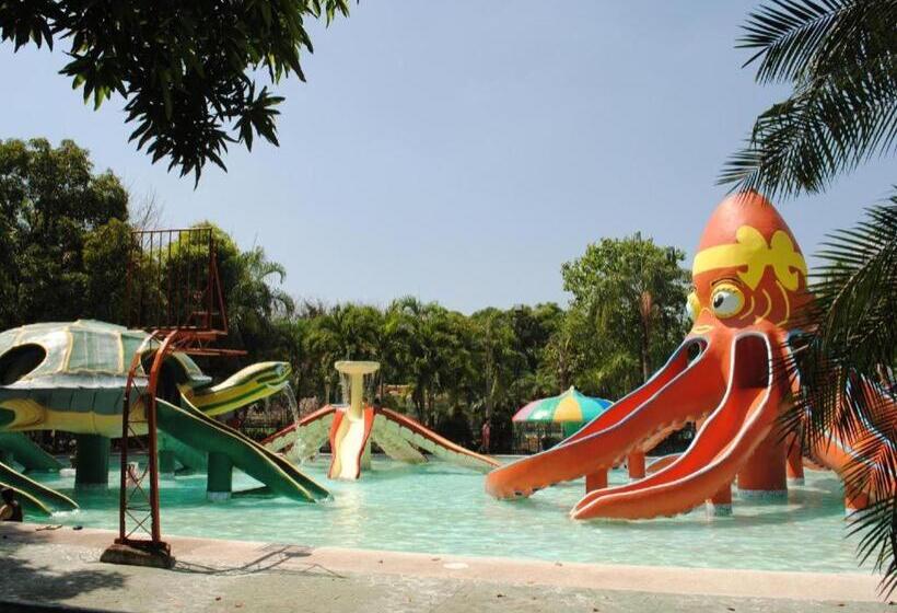 Отель Dj Paradise