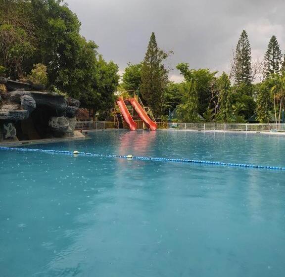 Отель Dj Paradise