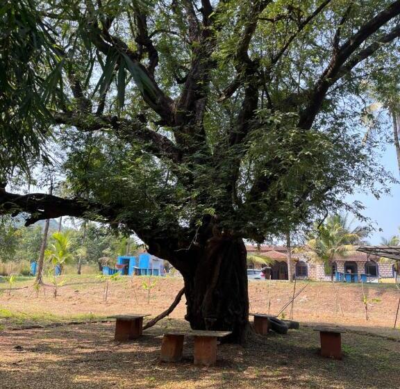 ホテル Green Valley Jungle Resort