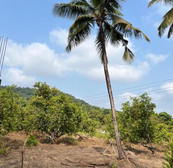 ホテル Green Valley Jungle Resort