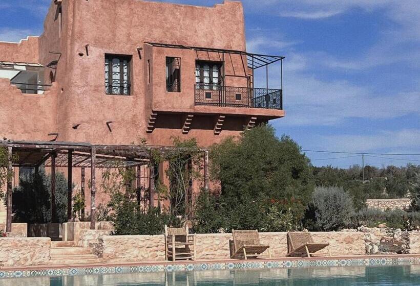 פנסיון Dar Omnia