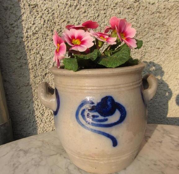 ペンション Maison D Hôtes La Ferme Pierre