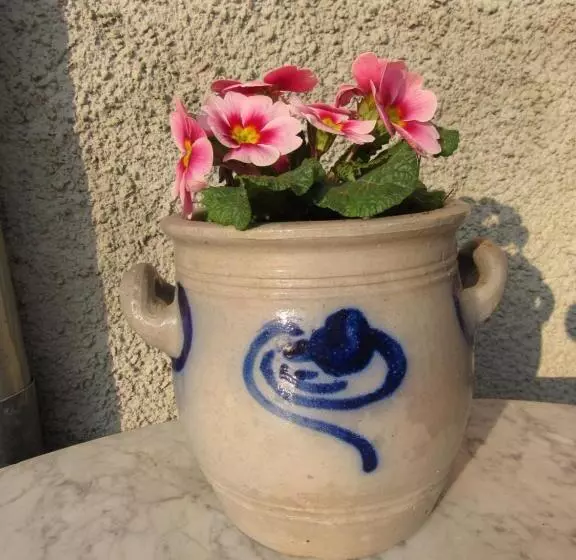 ペンション Maison D Hôtes La Ferme Pierre