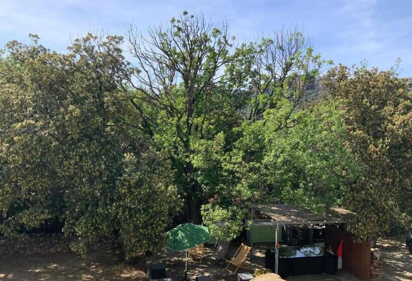 膳宿费 U Farniente