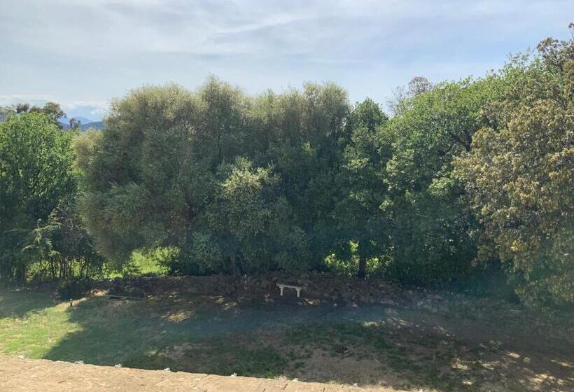 膳宿费 U Farniente