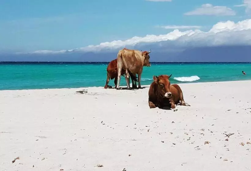 Majatalo U Farniente