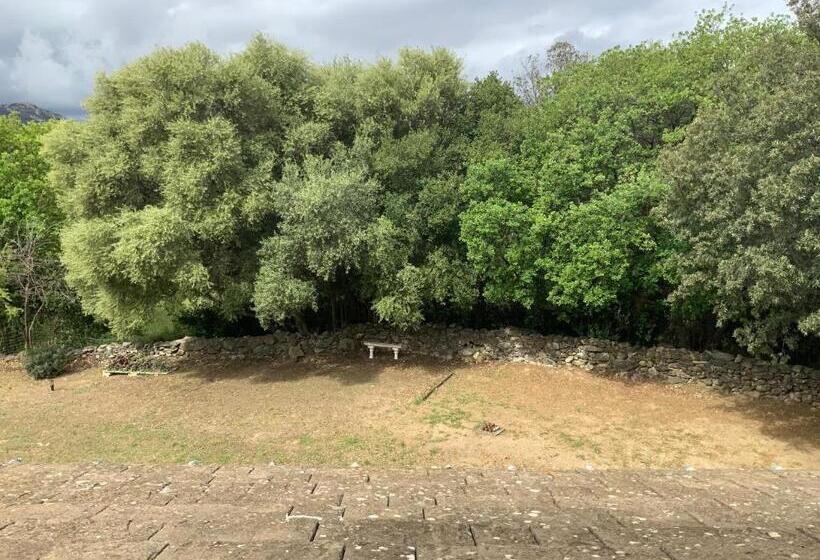 膳宿费 U Farniente