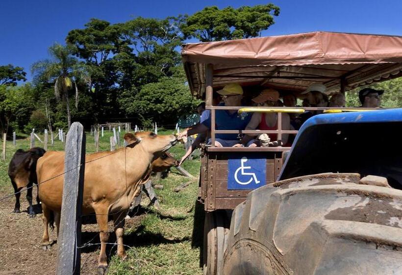 호텔 Fazenda Campo Dos Sonhos