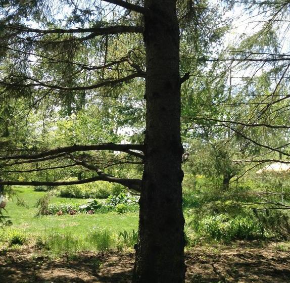 住宿加早餐  Gite De Brouage