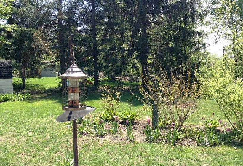 住宿加早餐  Gite De Brouage