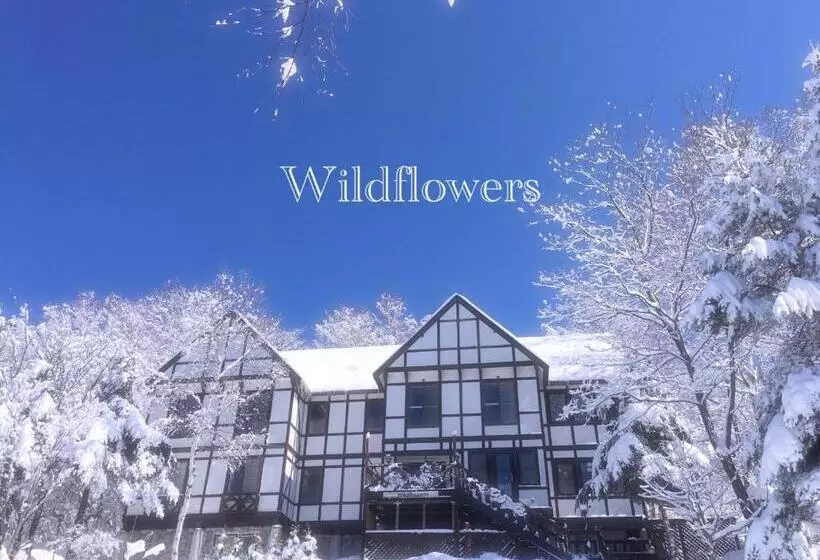 Aamiaismajoitus (B&B) Pension Wildflowers