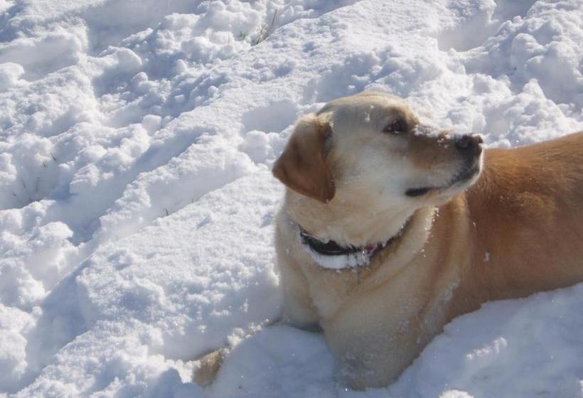 住宿加早餐  Family Camp Hanafurari