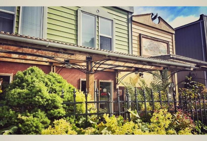 هتل Black Rooster Guesthouse