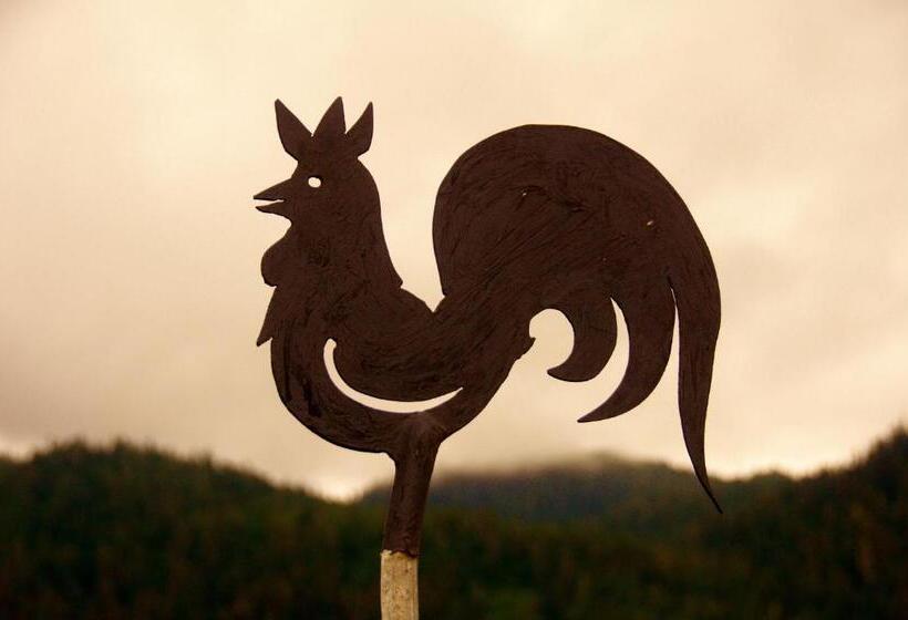 هتل Black Rooster Guesthouse