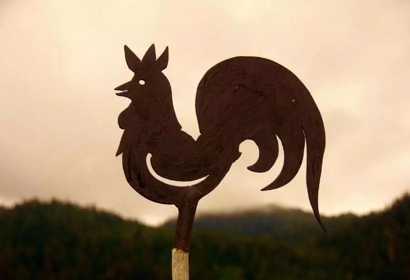 ホテル Black Rooster Guesthouse