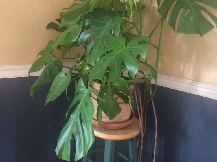 Отель Marine Inn