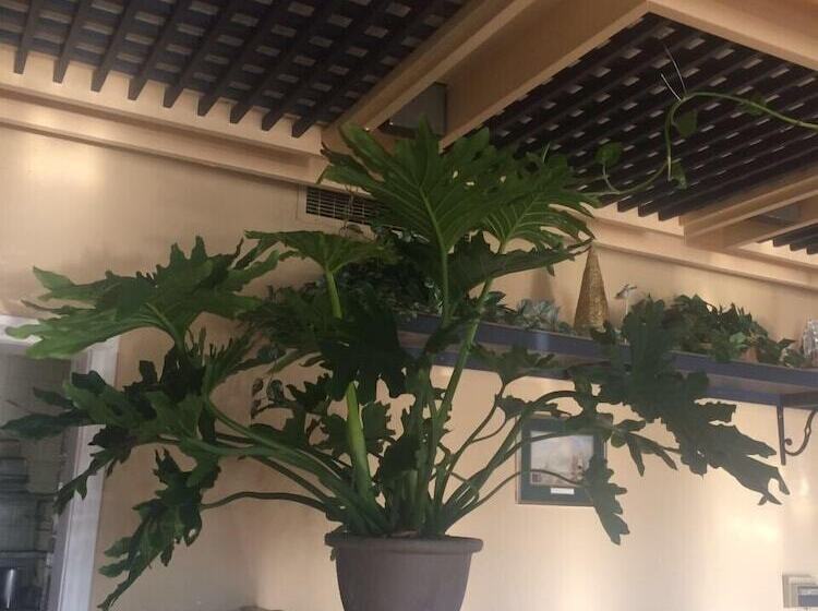 Отель Marine Inn