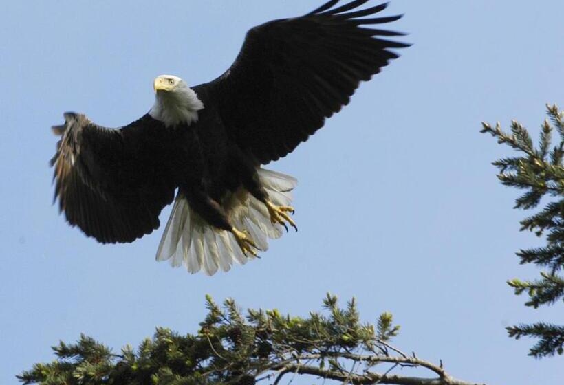 Long Lake Waterfront Bed And Breakfast