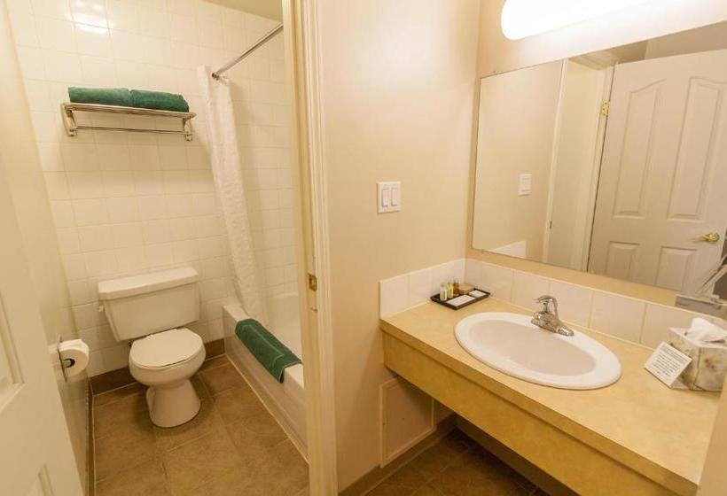 汽车旅馆  Best Maple Inn  Drayton Valley