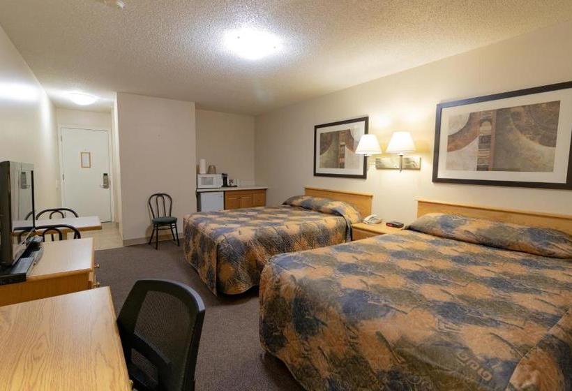 汽车旅馆  Best Maple Inn  Drayton Valley