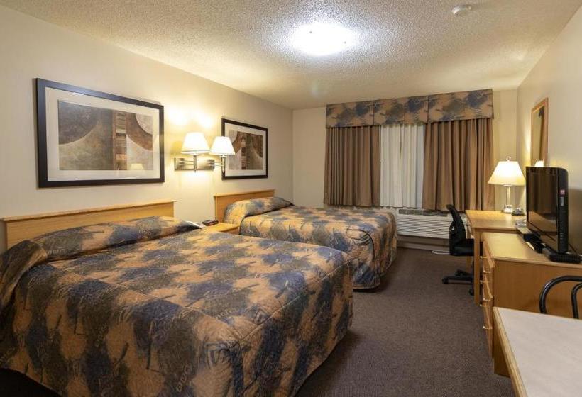 汽车旅馆  Best Maple Inn  Drayton Valley