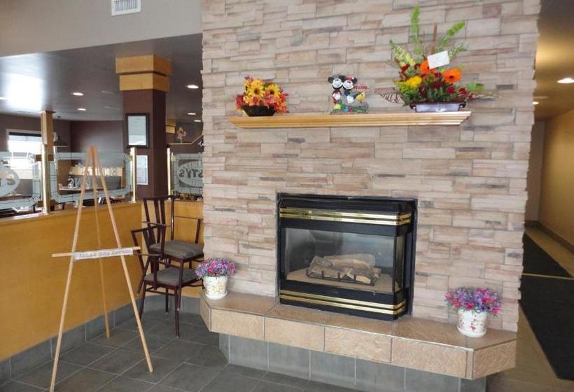 汽车旅馆  Best Maple Inn  Drayton Valley